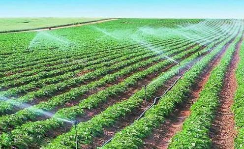 黑屌操骚逼的视频农田高 效节水灌溉